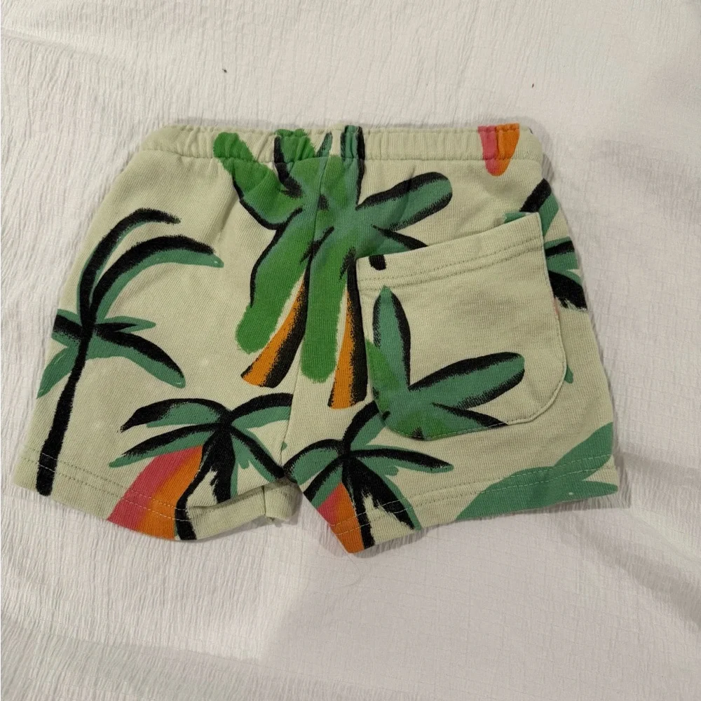 Zara Kids Green and Pink Leaf Print Shorts‎